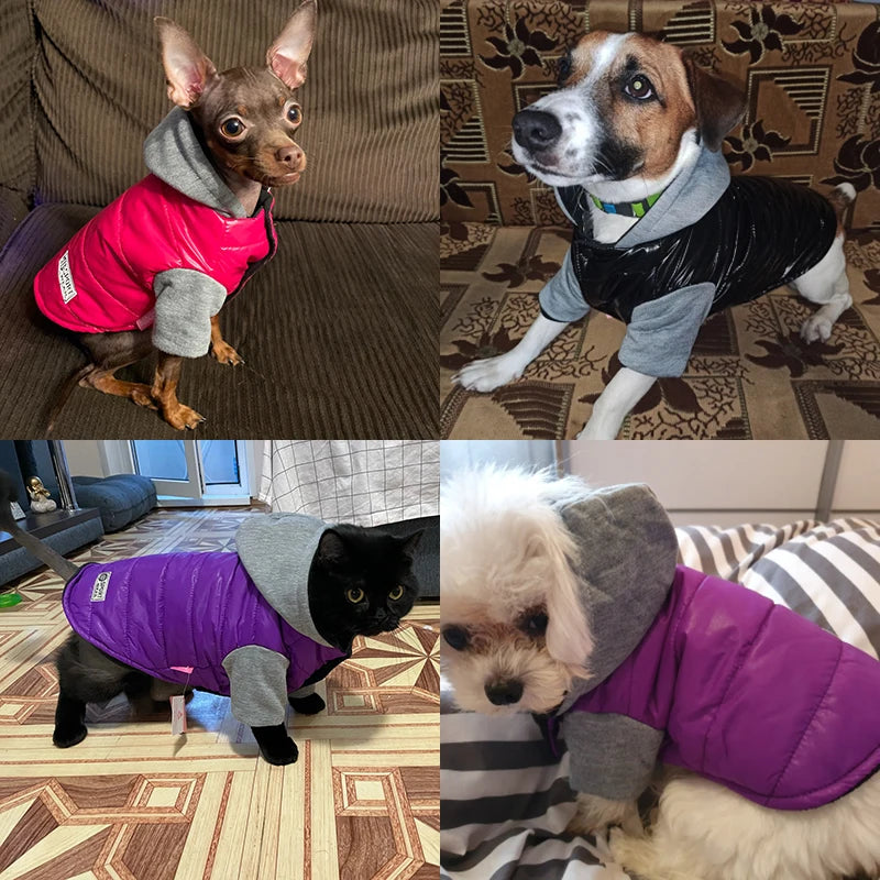 Waterproof Winter Pet Clothes For Small Dogs Thick Warm Puppy Cat Dog Jacket Coat Chihuahua French Bulldog Clothes With Hood
