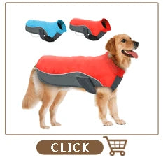 Female Dog Shorts Puppy Physiological Pants Diaper Pet Underwear For Small Meidium Girl Dogs