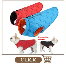Female Dog Shorts Puppy Physiological Pants Diaper Pet Underwear For Small Meidium Girl Dogs
