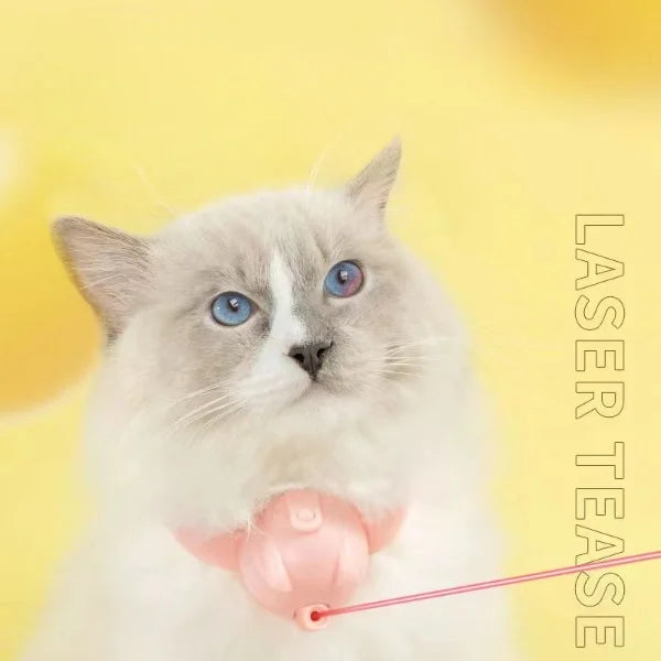 Automatic Cat Toy Smart Laser Teasing Cat Collar Electric USB Charging Kitten Amusing Toys Interactive Training Pet Items 2023