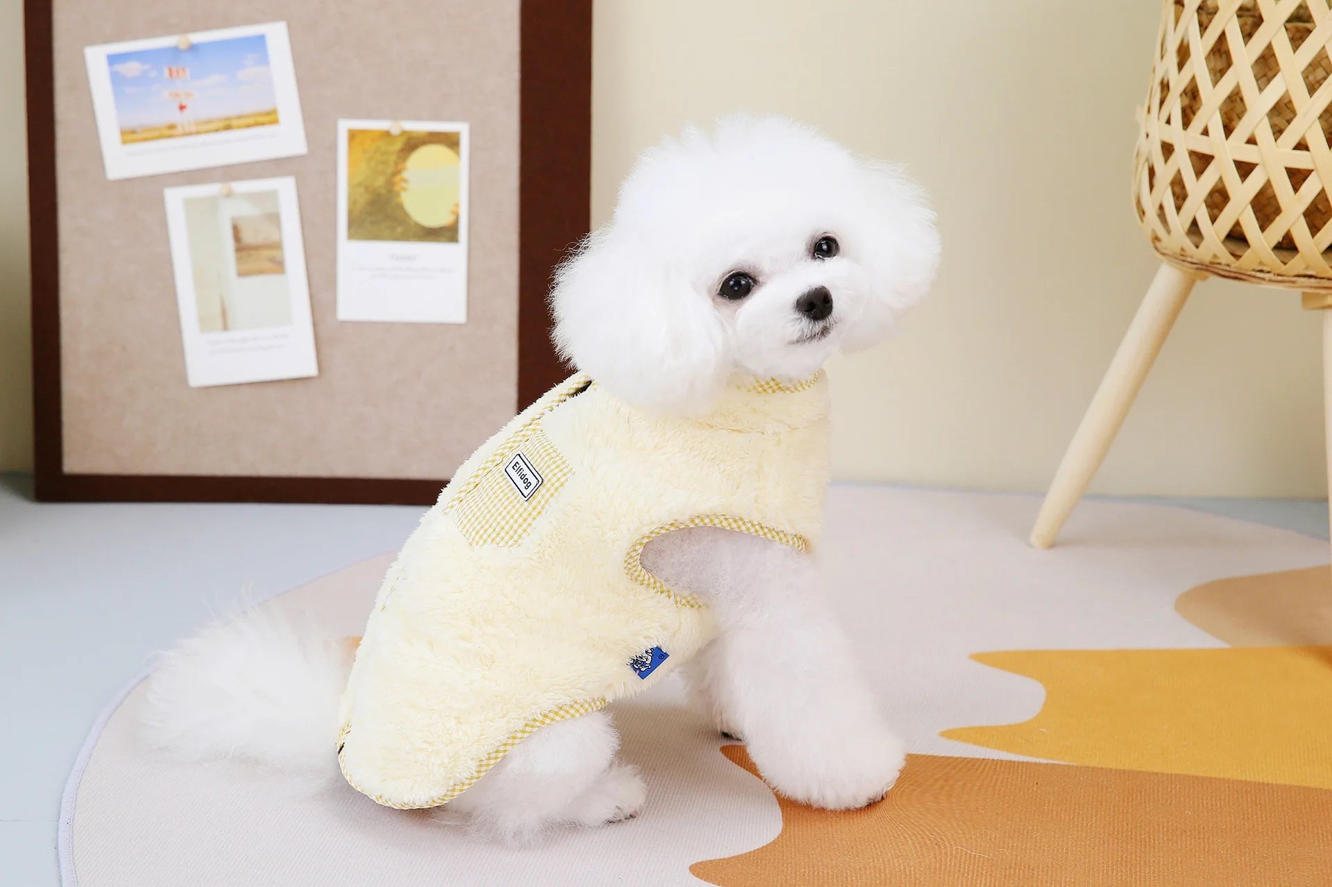 Zipper  Shi Tzu Sweater Clothes For Small Medium Dogs Pet Fur Vest Outfit French Bulldog Autumn Winter Jackets XS 3XL Cats Goods