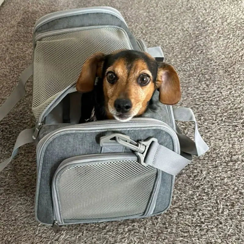 Dog Cat Carrier Bag Pet Puppy Travel Bags Breathable Mesh Small Dog Cat Dogs Outdoor Tent Carrier Outgoing Pets Bag Handbag