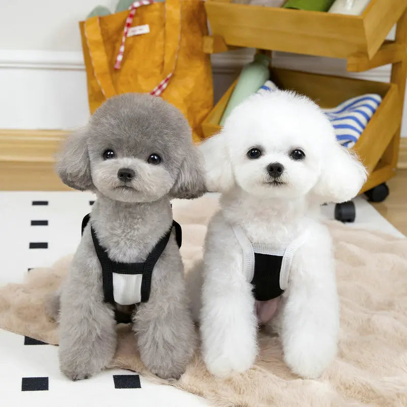 Pet Suspenders Dog Vest Summer Thin Dog Clothes for Small Dogs Kitten Puppy Apparel Chihuahua Bulldog Bichon Girls Dog Costume