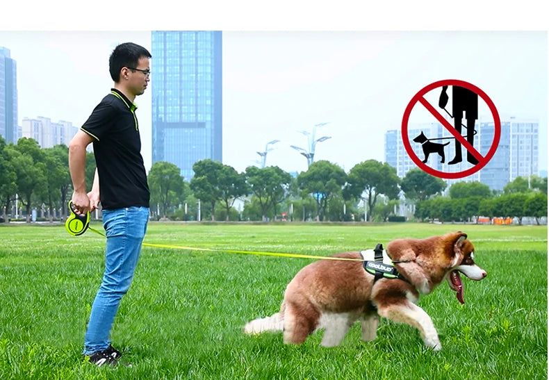5M Luxury Pet Dog Leashes Retractable Dog Leash For Large  Medium Dogs Cat Puppies Accessories Small Automatic Extension Lanyard