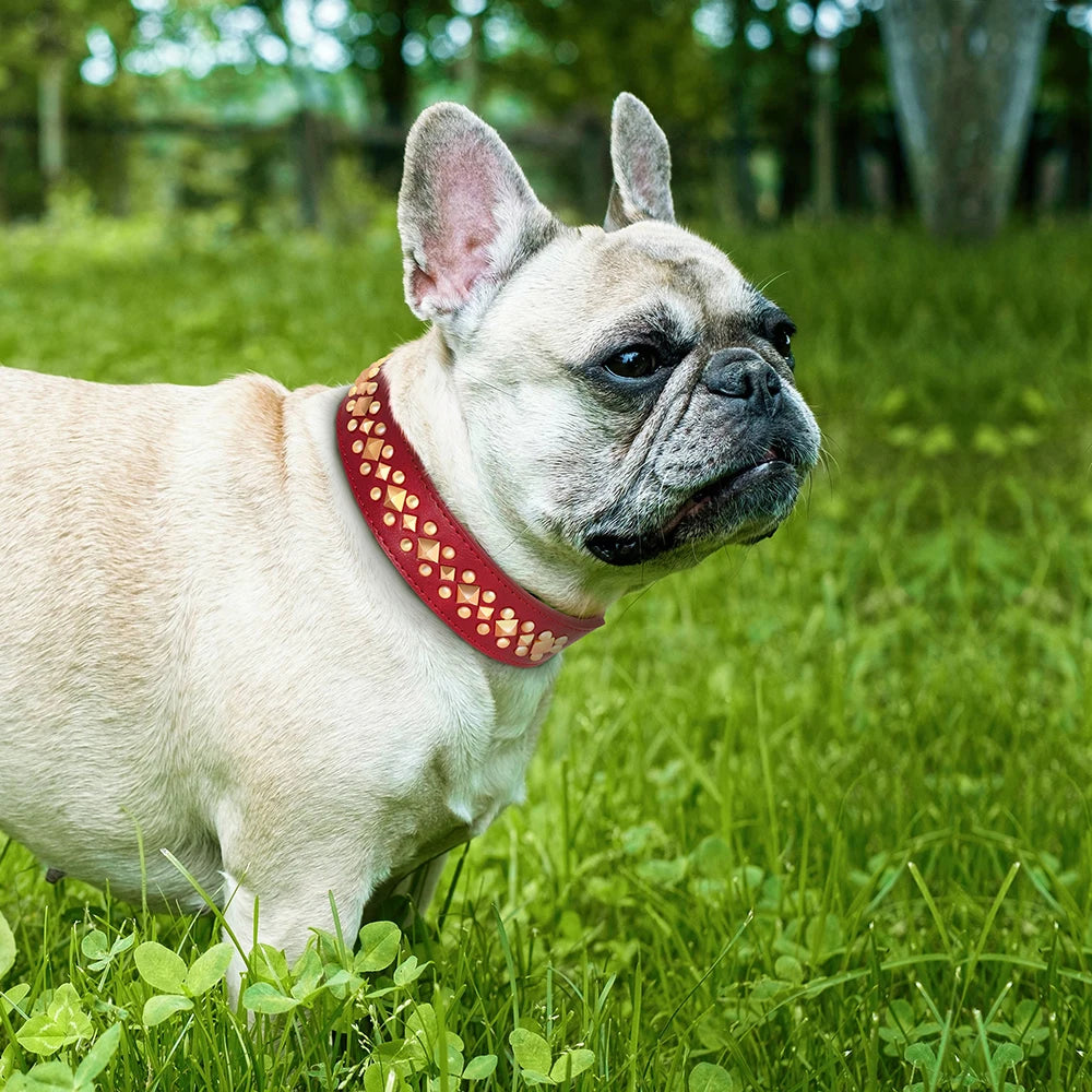 Studded Leather Dog Collar Soft PU Leather Dog Collars Cool Rivet Studded Pet Collar for Medium Large Dogs French Bulldog XL