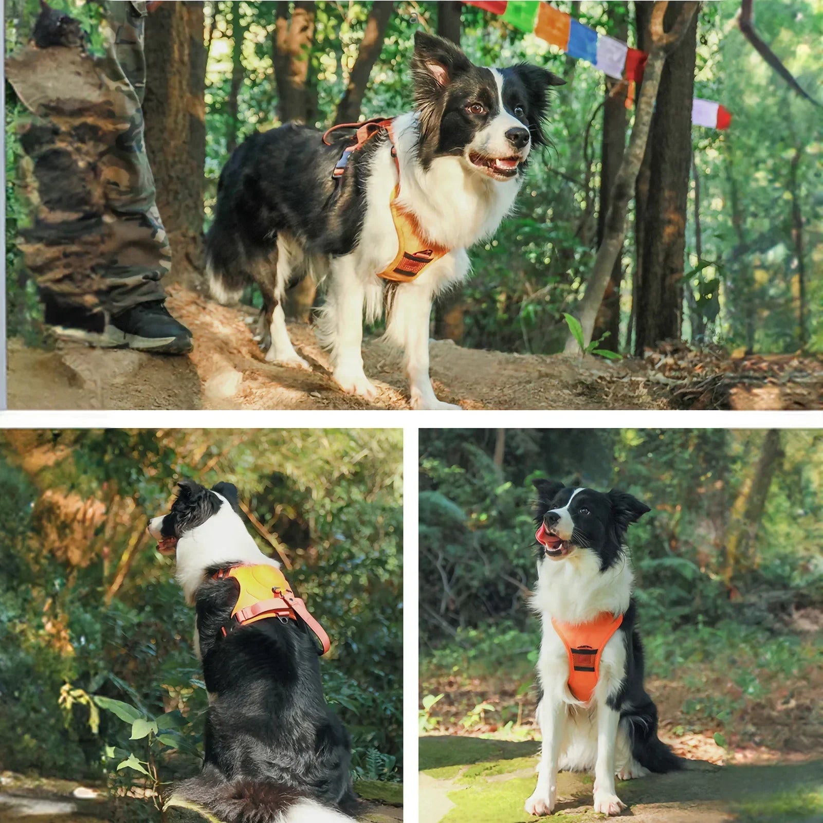 New Explosion-Proof Red Pet Chest Harness Dog Harness Medium Size Dogs Pet Traction Rope Anti-Stroke and Neck Pet Supplies