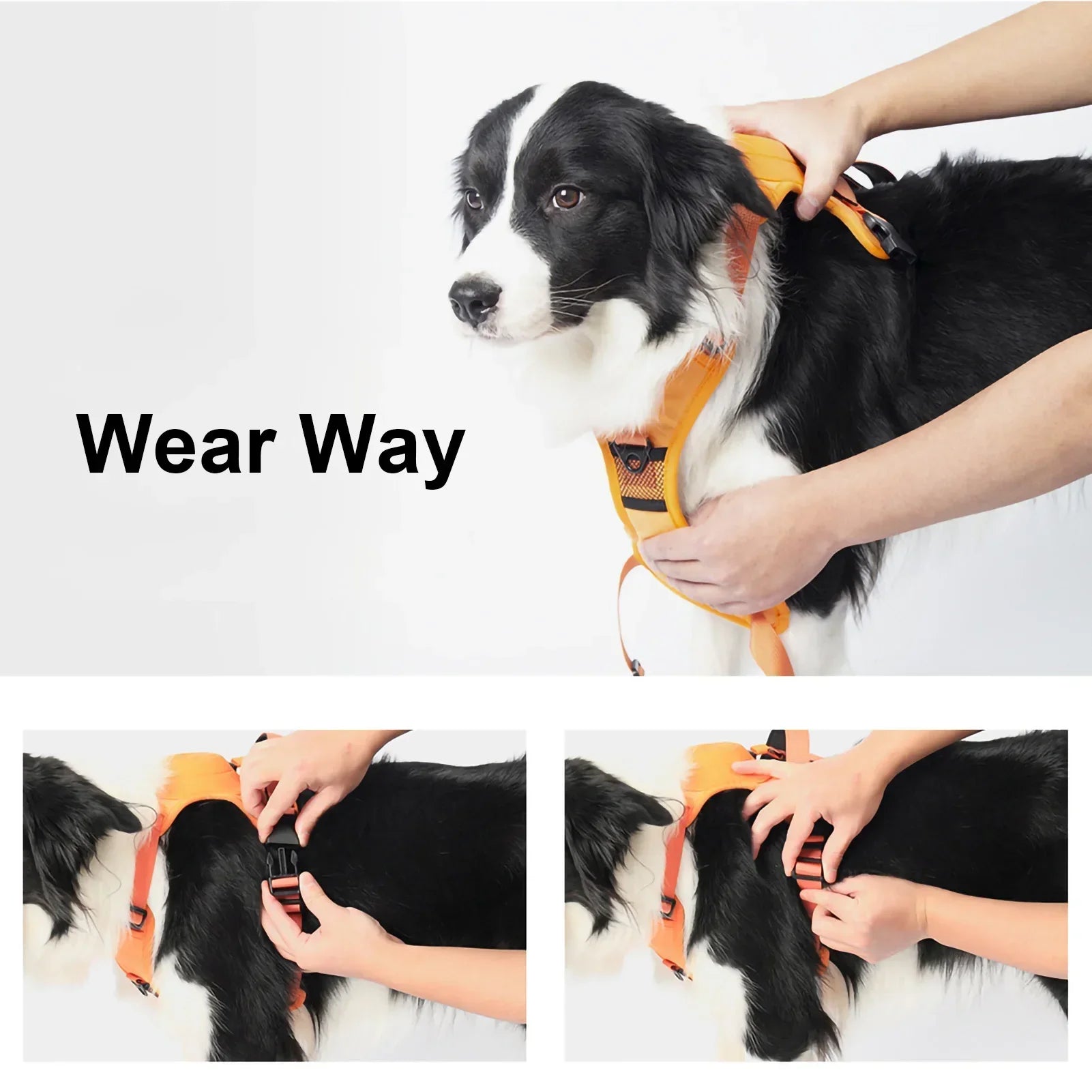New Explosion-Proof Red Pet Chest Harness Dog Harness Medium Size Dogs Pet Traction Rope Anti-Stroke and Neck Pet Supplies