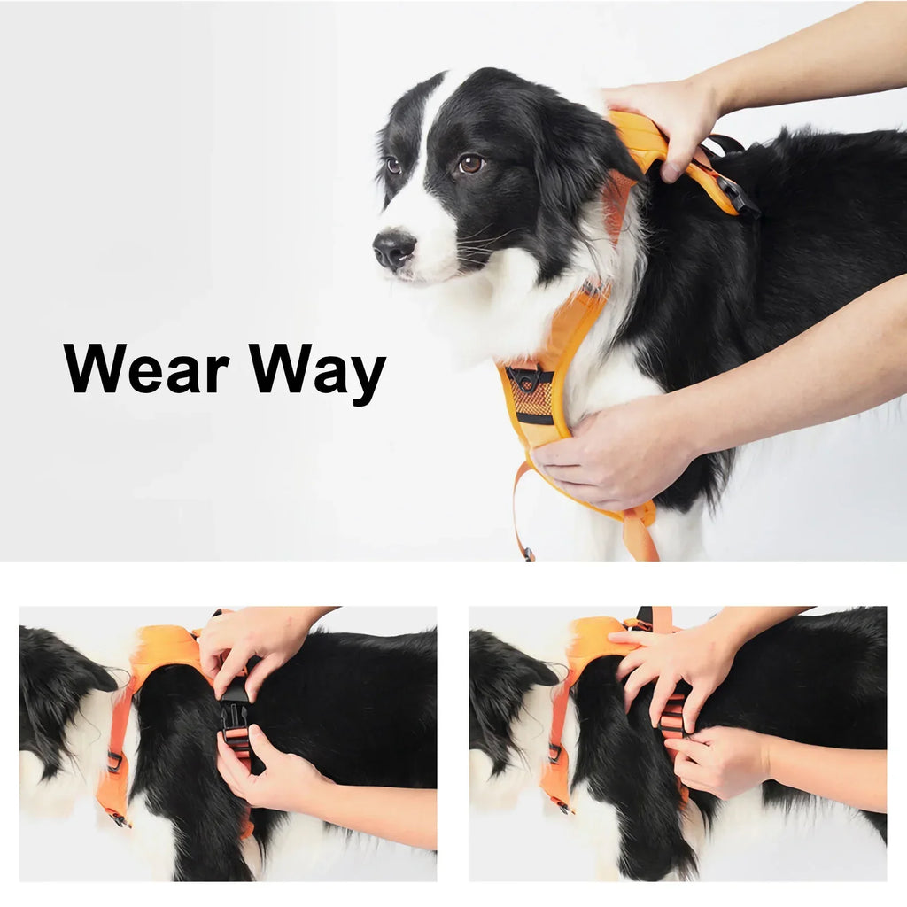 New Explosion-Proof Red Pet Chest Harness Dog Harness Medium Size Dogs Pet Traction Rope Anti-Stroke and Neck Pet Supplies