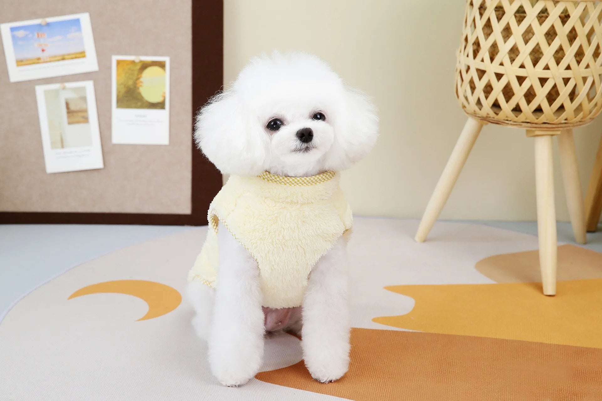 Zipper  Shi Tzu Sweater Clothes For Small Medium Dogs Pet Fur Vest Outfit French Bulldog Autumn Winter Jackets XS 3XL Cats Goods