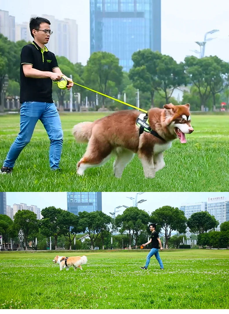 5M Luxury Pet Dog Leashes Retractable Dog Leash For Large  Medium Dogs Cat Puppies Accessories Small Automatic Extension Lanyard