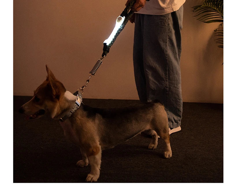 Luminous Strap For Dog Collar Harness Leash Led Light Night Safety Anti-Lost/Avoid Car Accident Glowing Collar For Dogs