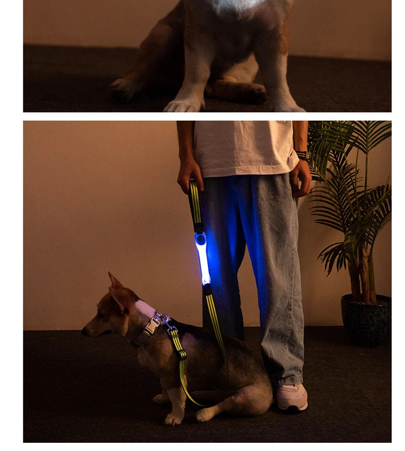 Luminous Strap For Dog Collar Harness Leash Led Light Night Safety Anti-Lost/Avoid Car Accident Glowing Collar For Dogs