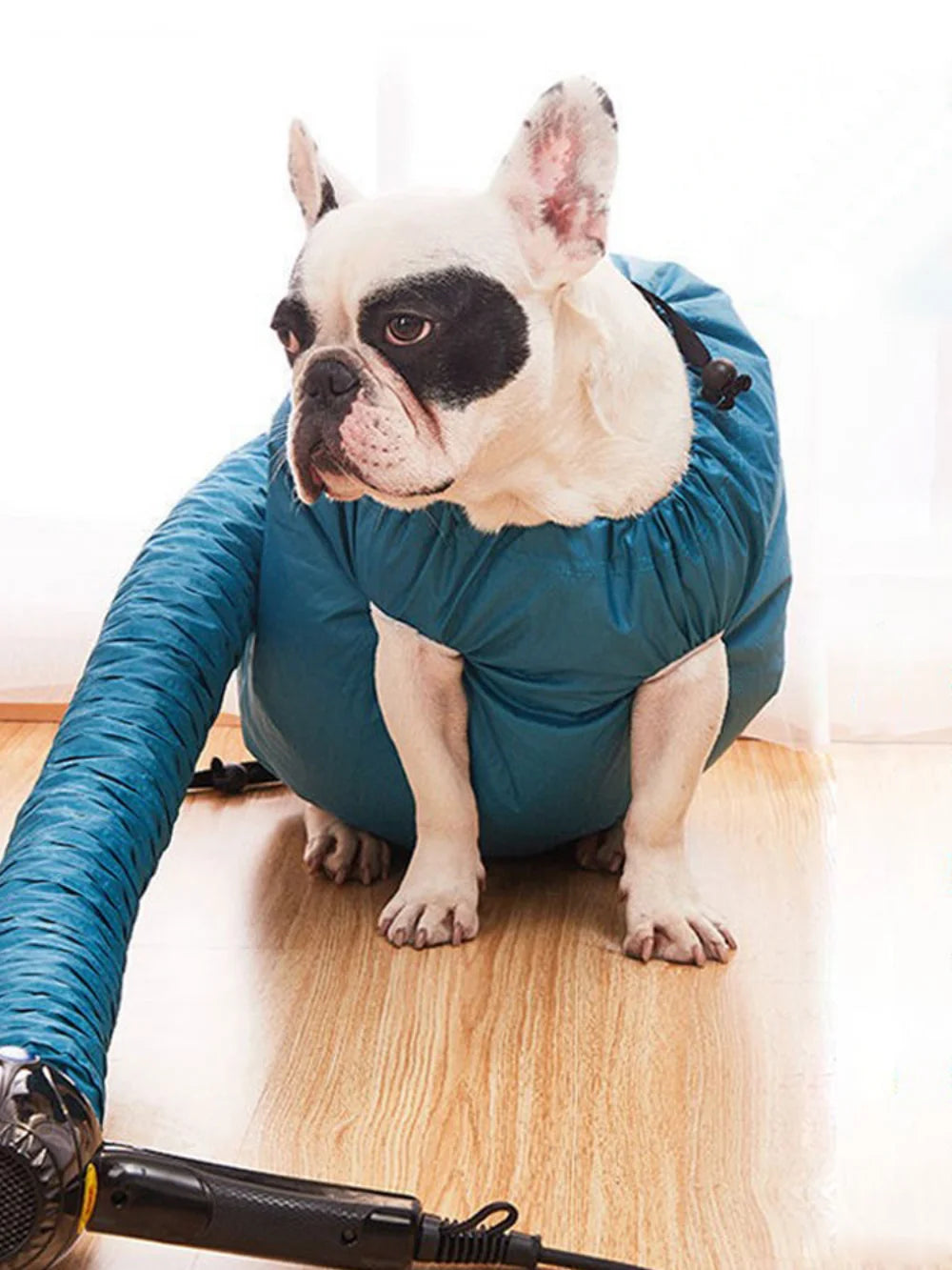Pet Dogs Hair Blow Dryer Portable Foldable Fast Drying Bags Grooming Bag Household Pet Hair Drying Bag Efficient Dry Tool Kit