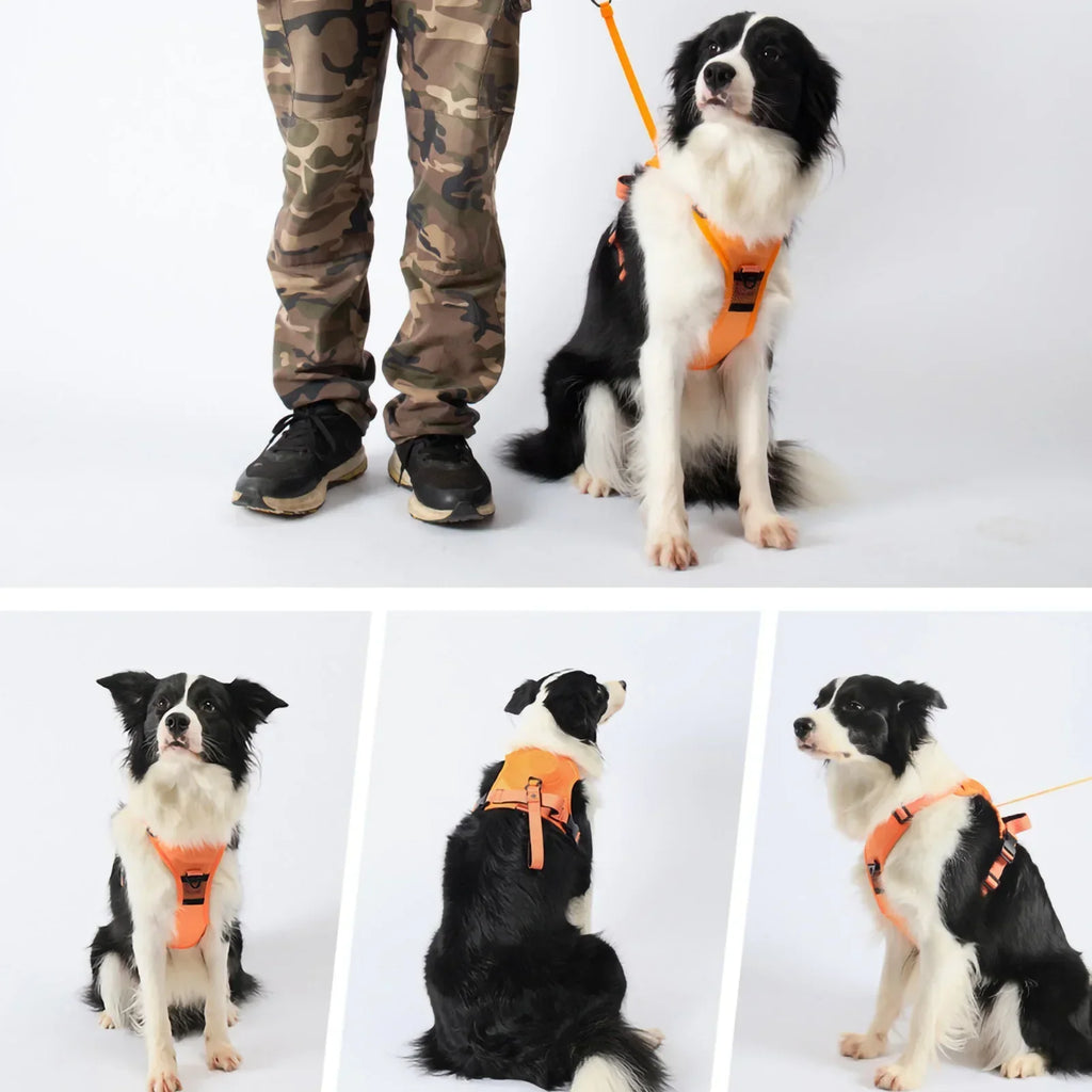 New Explosion-Proof Red Pet Chest Harness Dog Harness Medium Size Dogs Pet Traction Rope Anti-Stroke and Neck Pet Supplies