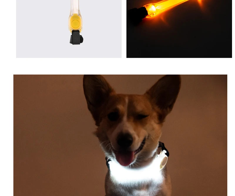 Luminous Strap For Dog Collar Harness Leash Led Light Night Safety Anti-Lost/Avoid Car Accident Glowing Collar For Dogs